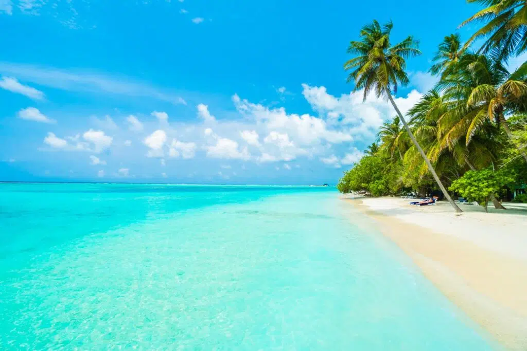 5 Things To Carry When Planning To Spend Your Afternoon In The Ocean