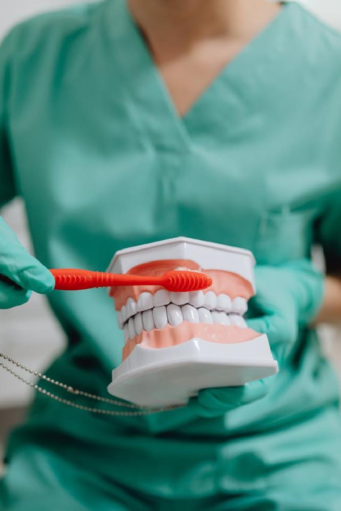 Dental Health For All Ages: Strategies And Best Practices