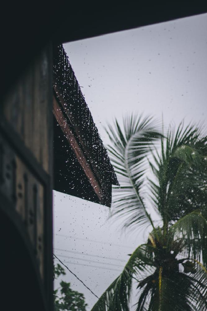 How Heavy Rains Cause Drain Backups & Smart Ways To Prevent Them