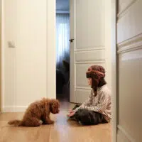 Safe And Stylish: Home Design Materials For Families With Kids And Pets