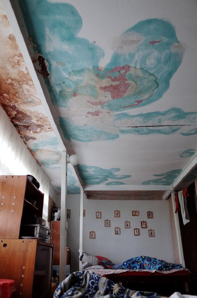 The Most Common Causes of Water Damage In South Jersey Homes
