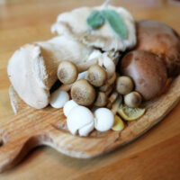 A Guide To Mushroom Varieties For Wellness