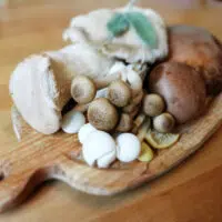 A Guide To Mushroom Varieties For Wellness