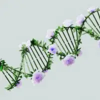 Spatial Transcriptomics: Mapping Gene Activity In Context