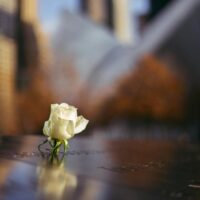 What A Lifetime of Partnership Prepares You For&mdash;And What It Doesn&rsquo;t