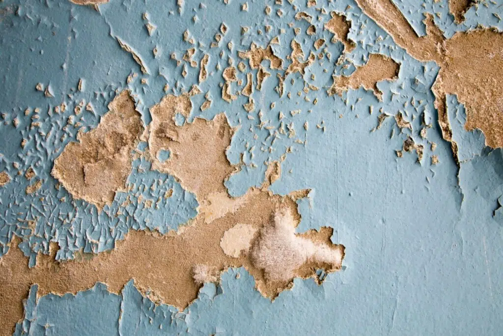 Signs Of Hidden Water Damage Behind Walls And Ceilings
