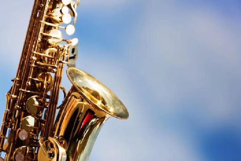 A Student’s Guide To Choosing Durable Woodwind Accessories