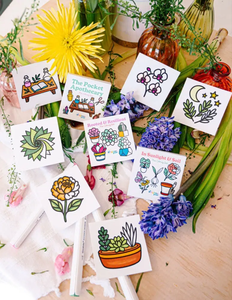 Switch Up Your Shopping Pallet With A New Perspective Of Items On The Market