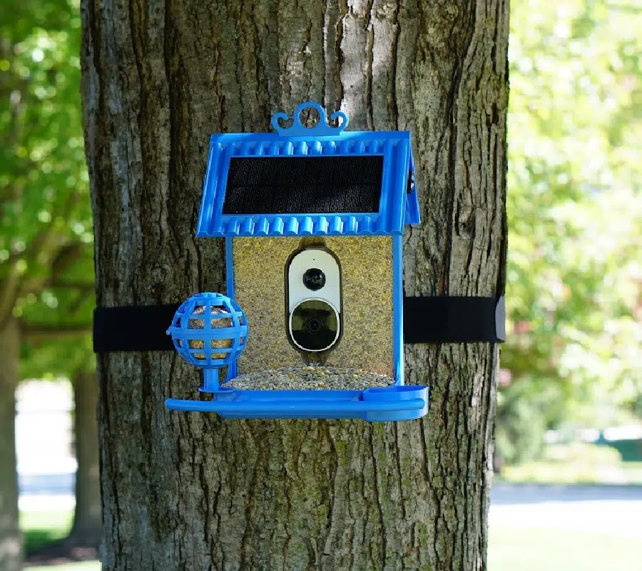 Switch Up Your Shopping Pallet With A New Perspective Of Items On The Market