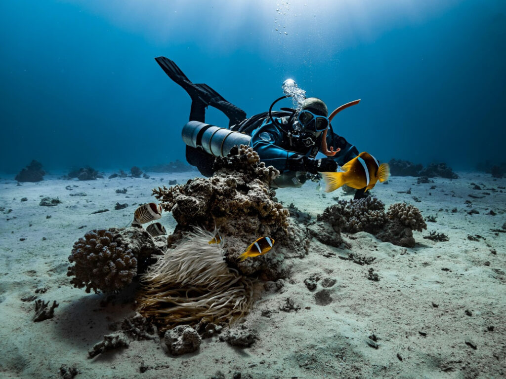 5 Reasons Scuba Diving and Snorkeling Are Must-Try Experiences in the Florida Keys