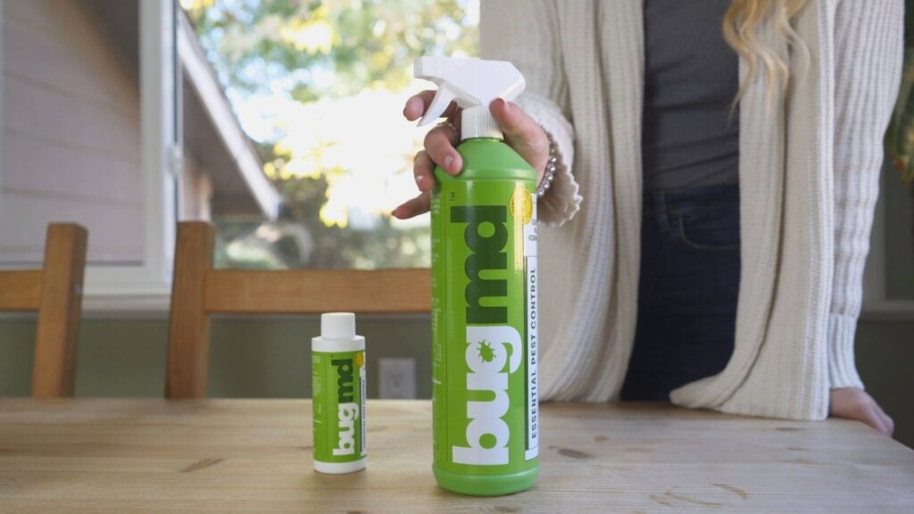 Protect Your Home From Bugs With Practical & Effective Bug Solutions