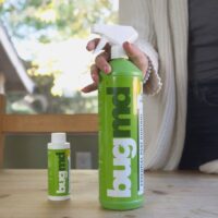 Protect Your Home From Bugs With Practical & Effective Bug Solutions