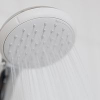 5 Shower Filter Brands That Will Upgrade Your Bathroom Experience
