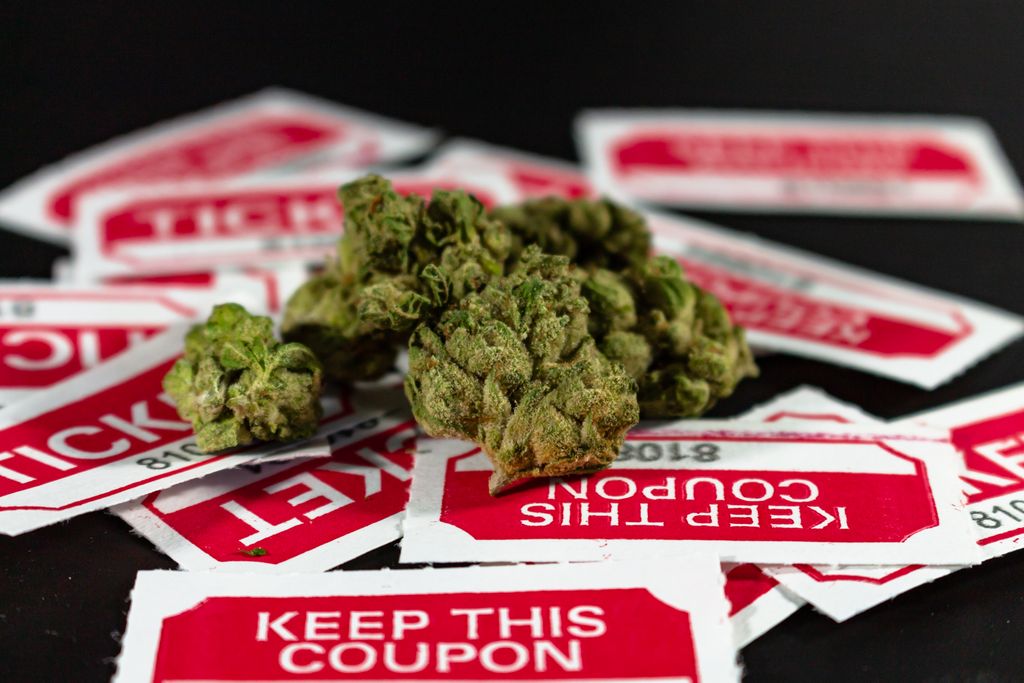 6 Online Cannabis Dispensaries In Canada For Bulk Flower, Concentrates and Edibles