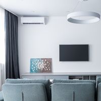 Contemporary living room with soft gray sofa and shelves decorating wall in daytime