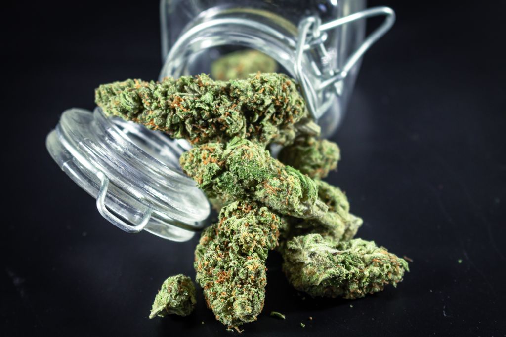 6 Online Cannabis Dispensaries In Canada For Bulk Flower, Concentrates and Edibles
