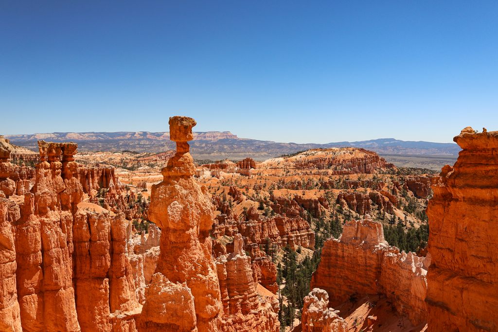 Dramatic view of hoodoos at Bryce Canyon National Park under clear blue skies.