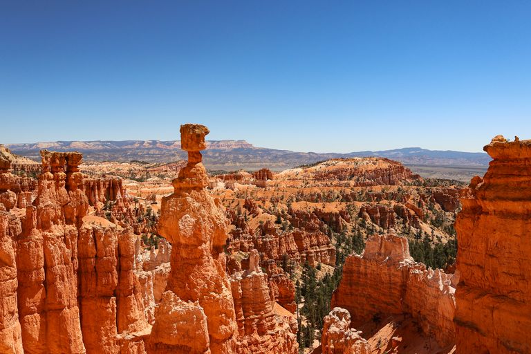Dramatic view of hoodoos at Bryce Canyon National Park under clear blue skies.