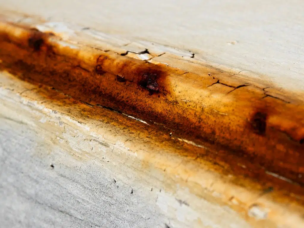Common Causes of Water Damage in Catonsville Homes and How to Prevent Them