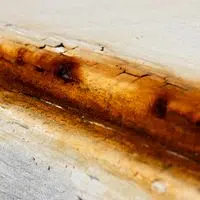 Common Causes of Water Damage in Catonsville Homes and How to Prevent Them