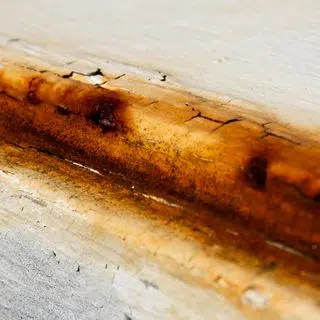 Common Causes of Water Damage in Catonsville Homes and How to Prevent Them